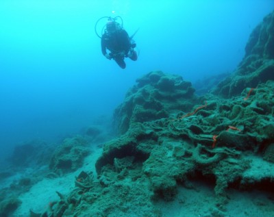 Figure 5. Remains of the seventh-century-BC shipwreck at Kekova Adası, Turkey. The cargo included transport jars drawn from a wide area that appears to have included eastern Cyprus, Corinth, and the region of Samos or Miletus. (see Greene <em>et al.</em> 2011; photo by J. Leidwanger).